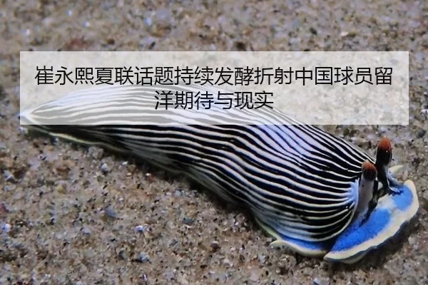 cui-yong-xi-xia-lian-hua-ti-chi-xu-fa-jiao-zhe-she-zhong-guo-qiu-yuan-liu-yang-qi-dai-yu-xian-shi-2-920.jpg